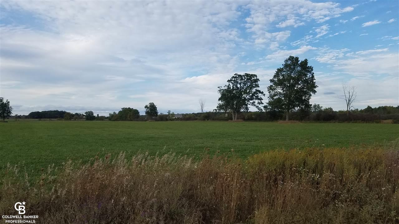 A-b Oatman Parc Avoca, MI 48006 - Photo 1 of 11