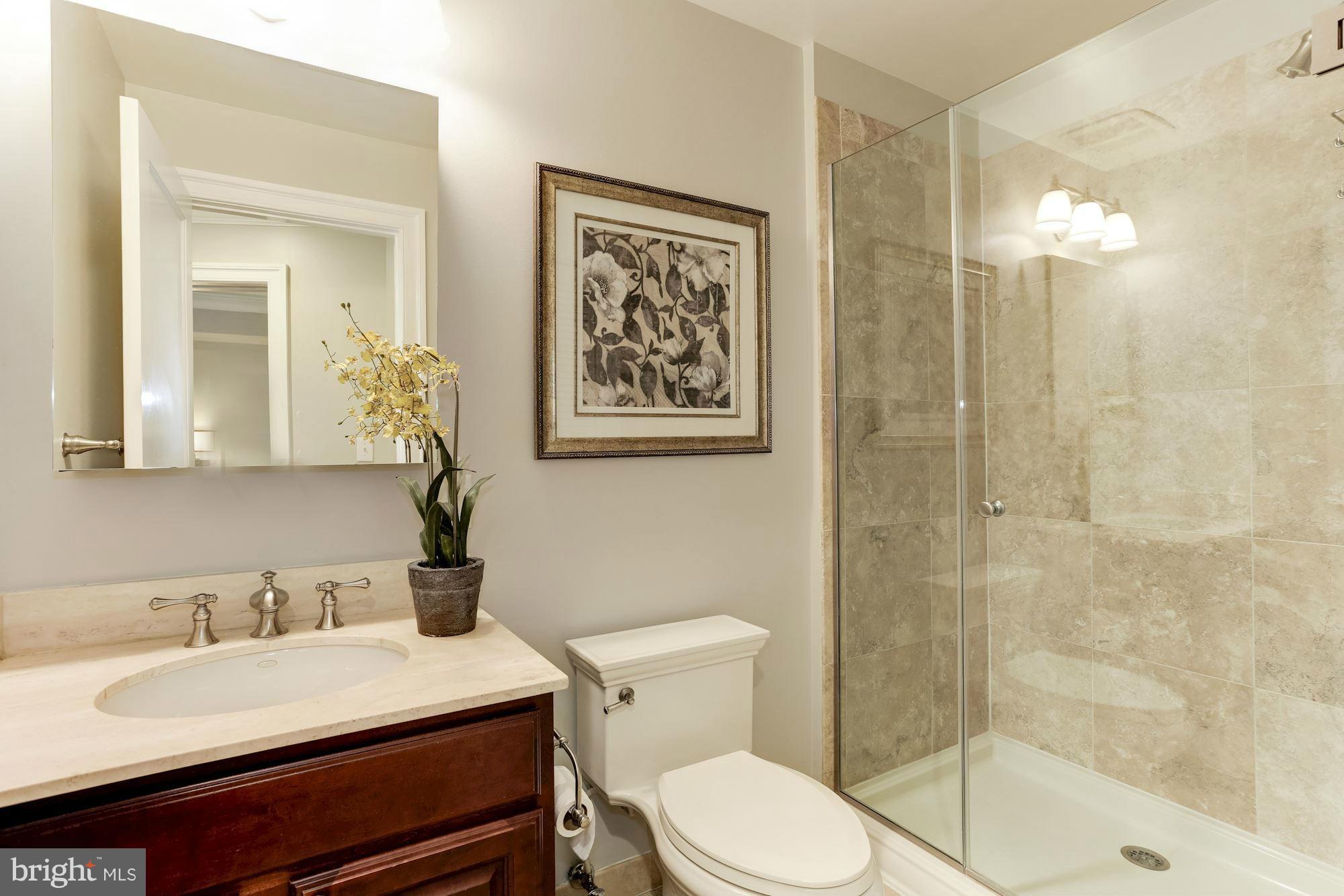 3318 Volta Place Northwest, Unit 2 Washington, DC 20007 - Photo 20 of 30 a bathroom with a sink a toilet and shower