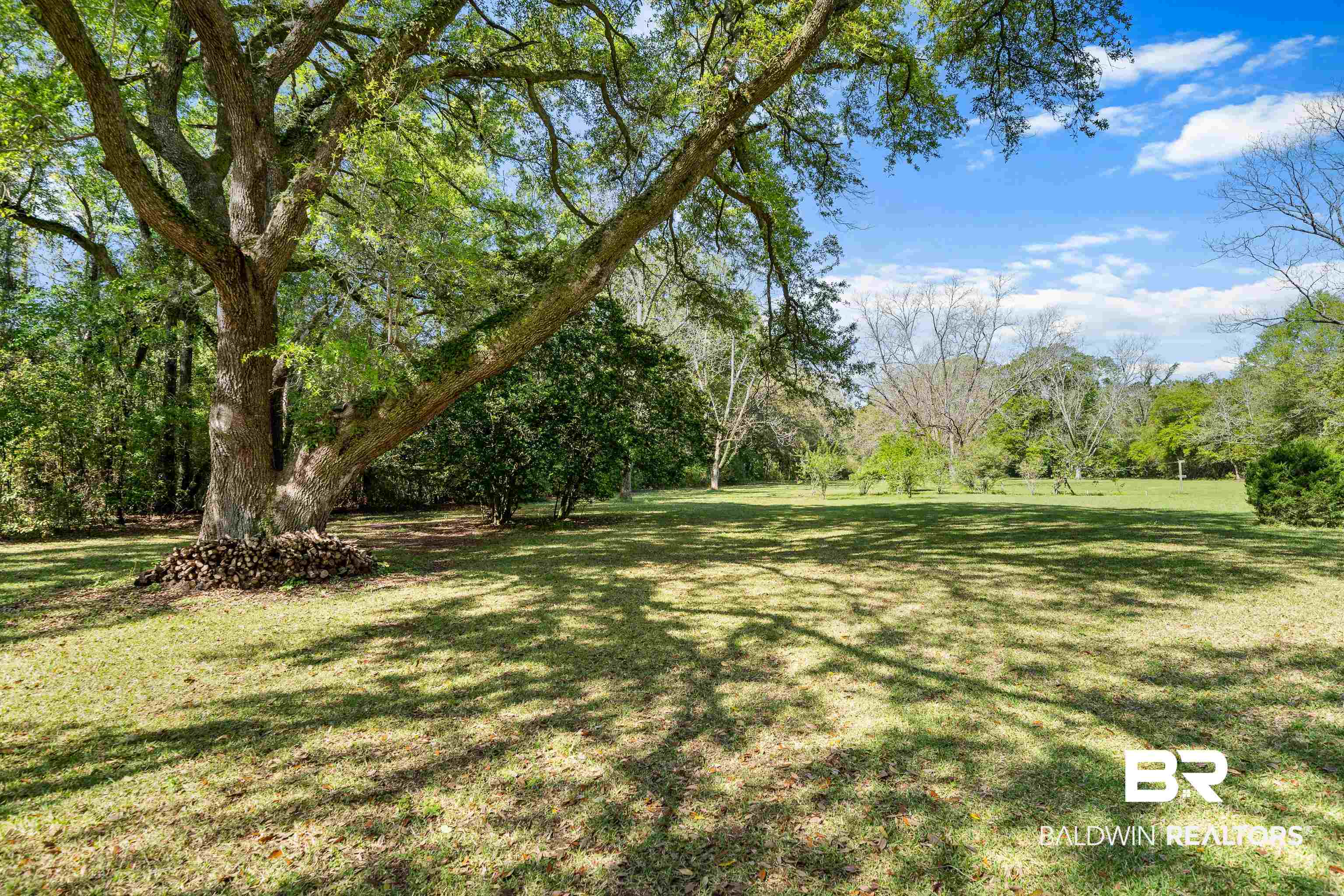 10407 LaLa Road Daphne, AL 36526 - Photo 35 of 47 Back Yard