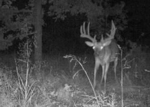 0 800th Road Fredonia, KS 66736 - Photo 1 of 1