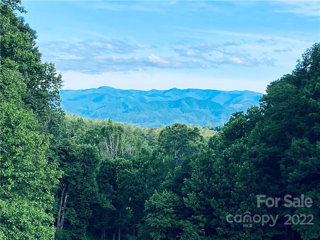 93 Slick Rock Road Brevard, NC 28712 - Photo 3 of 46 Gallery Image 3