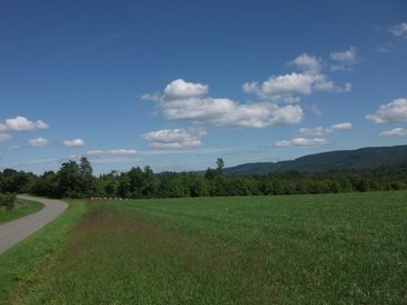 0 Airport Road Rocky Mount, VA 24151 - Photo 4 of 10 a view of a big room with a big yard
