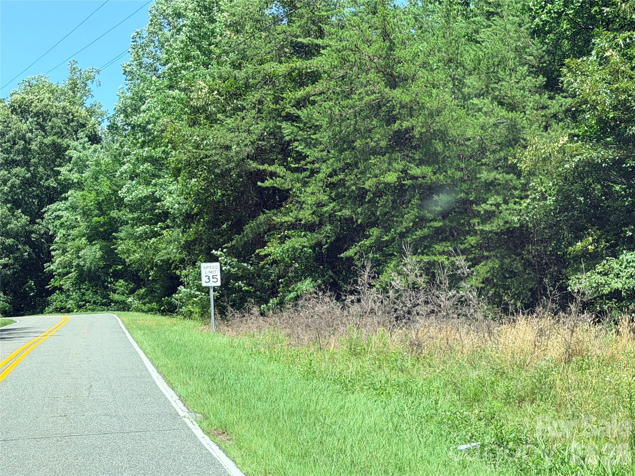 0 Grassy Knob Road, Unit 5 Mill Spring, NC 28756 - Photo 2 of 10