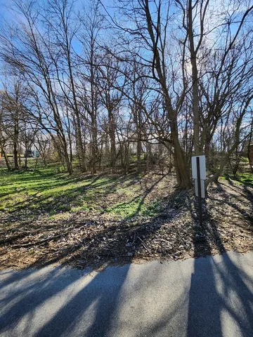 a view of a backyard with green space