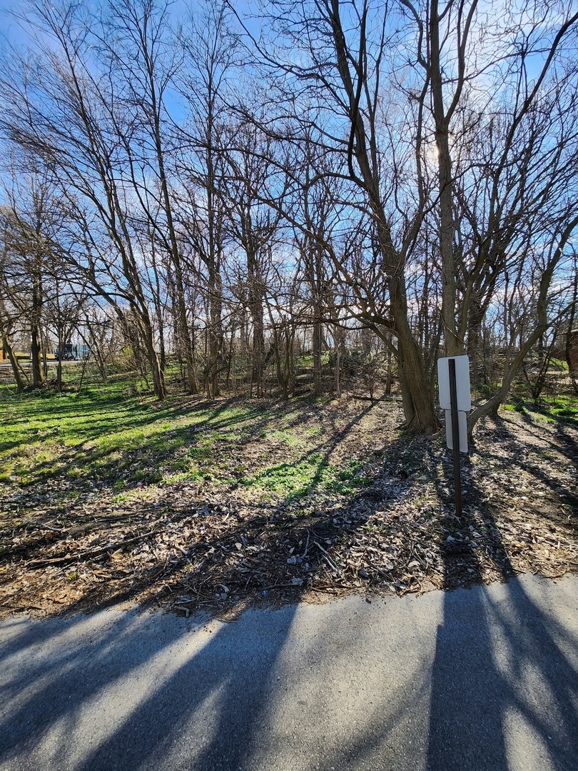 16490 Belleplaine Drive Markham, IL 60428 - Photo 2 of 6 a view of a backyard with green space