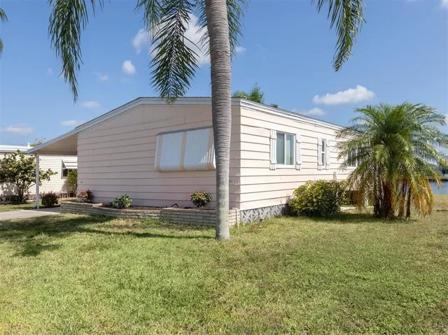 a view of a backyard with plants and palm trees