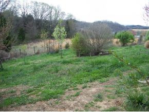 4110 Babbs Mill Road Greeneville, TN 37745 - Photo 15 of 17 Photo 15