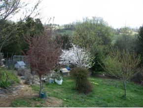 4110 Babbs Mill Road Greeneville, TN 37745 - Photo 16 of 17 Photo 16