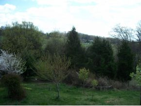 4110 Babbs Mill Road Greeneville, TN 37745 - Photo 17 of 17 Photo 17