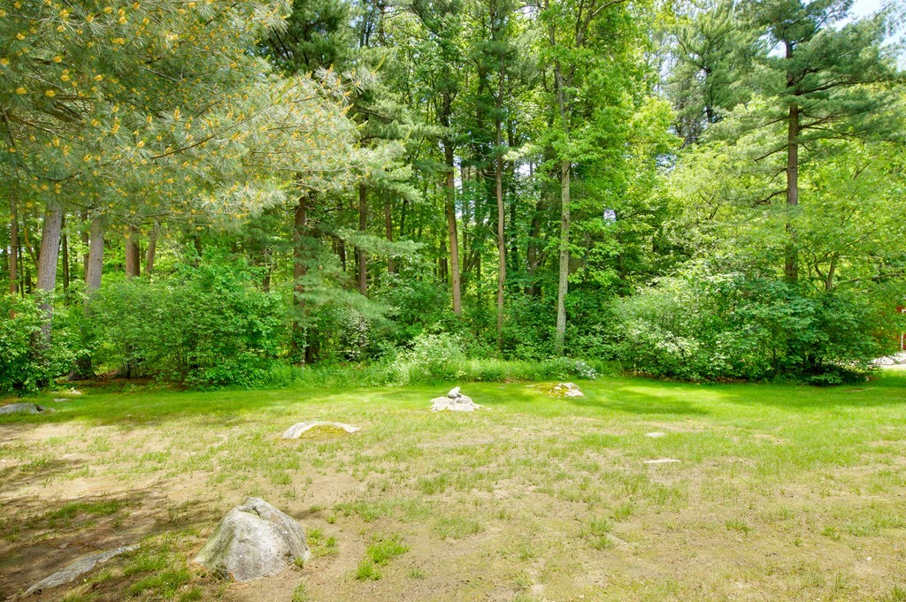 25 College Road Burlington, MA 01803 - Photo 3 of 20 Gallery Image 3
