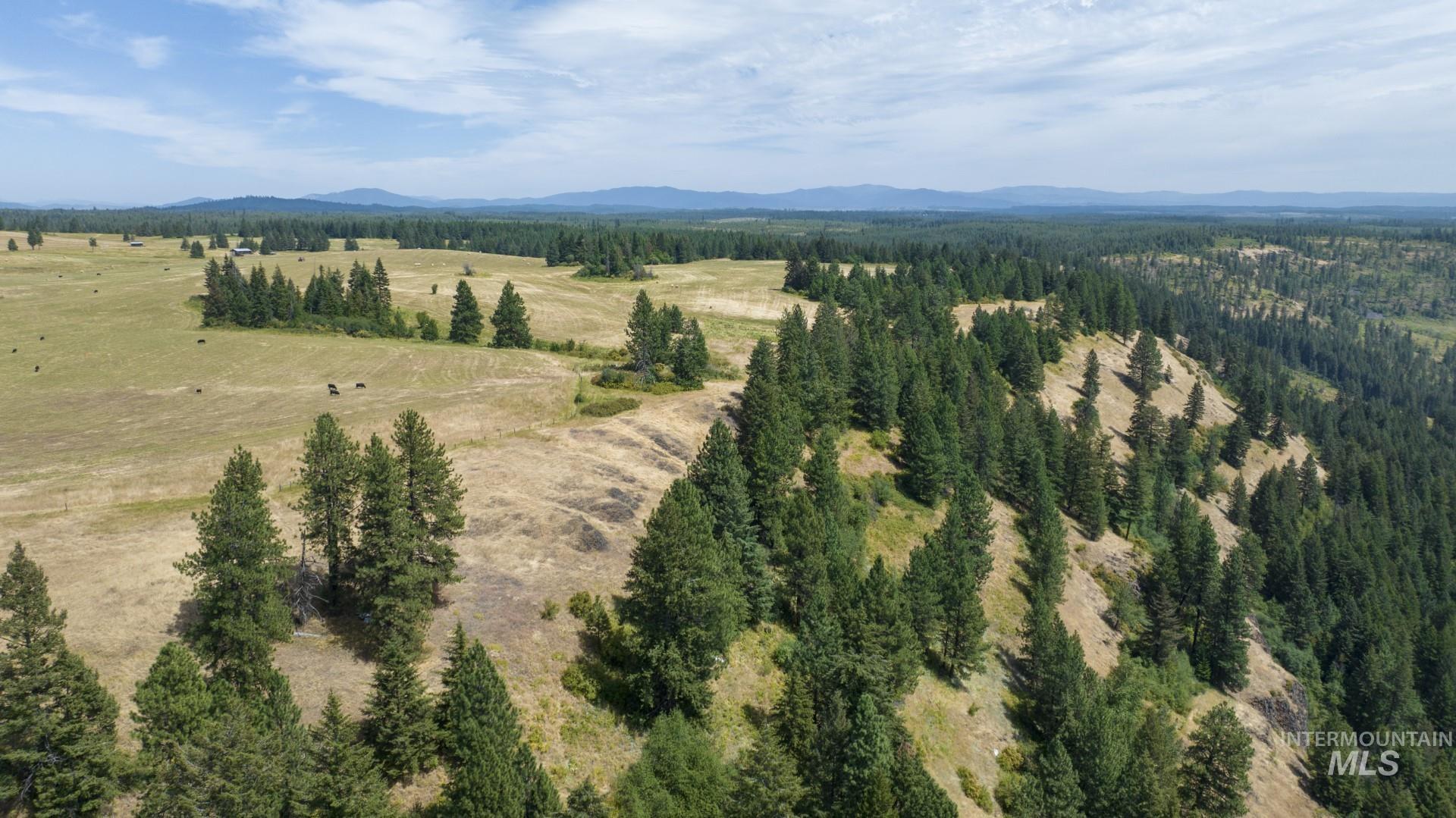 1605 Jasmine Lane Weippe, ID 83553 - Photo 4 of 11