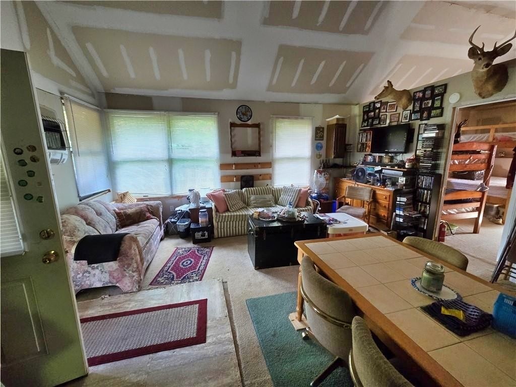 646 Dufton Hollow Road Tompkins, NY 13783 - Photo 3 of 11