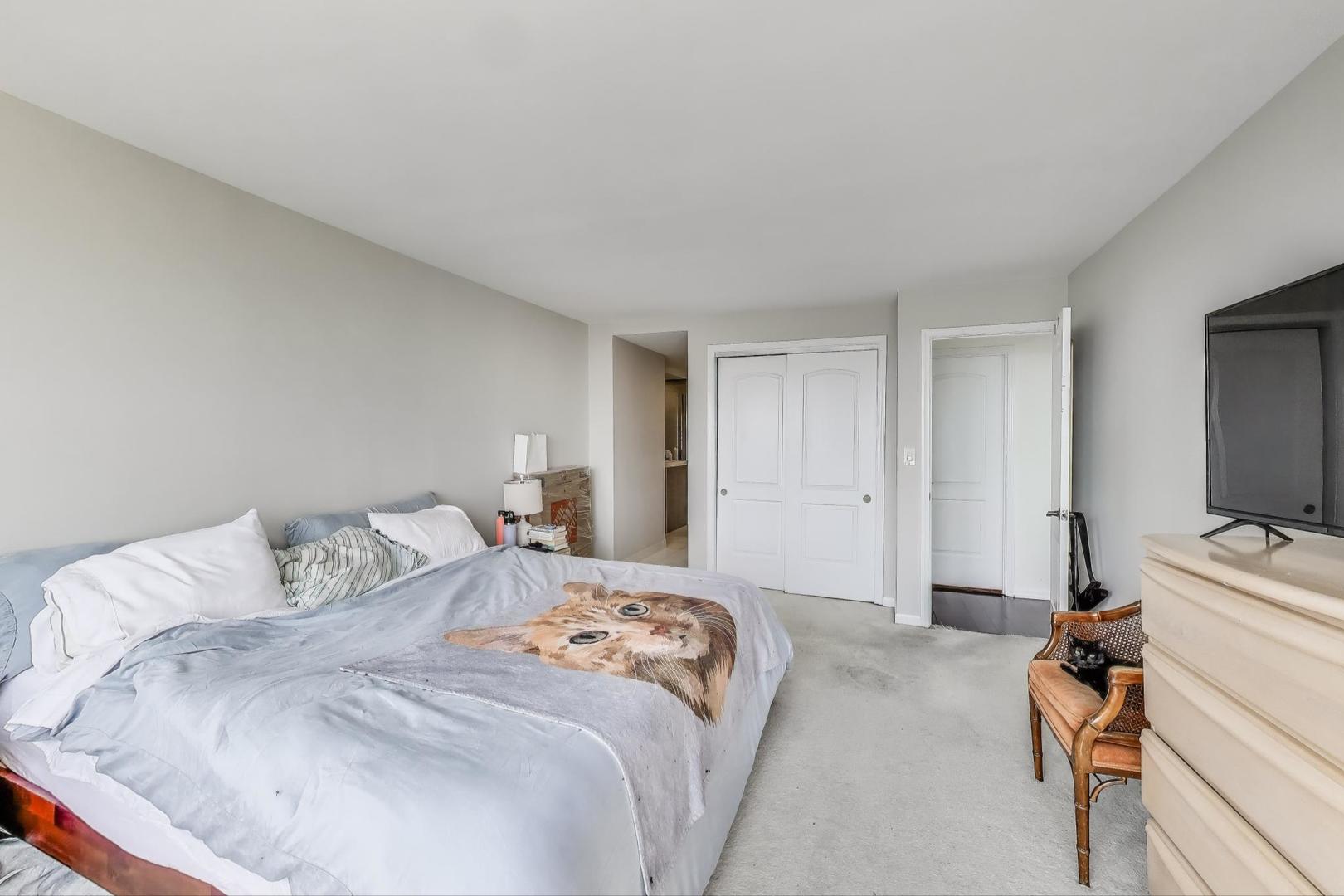 655 West Irving Park Road, Unit 4001 Chicago, IL 60613 - Photo 11 of 35