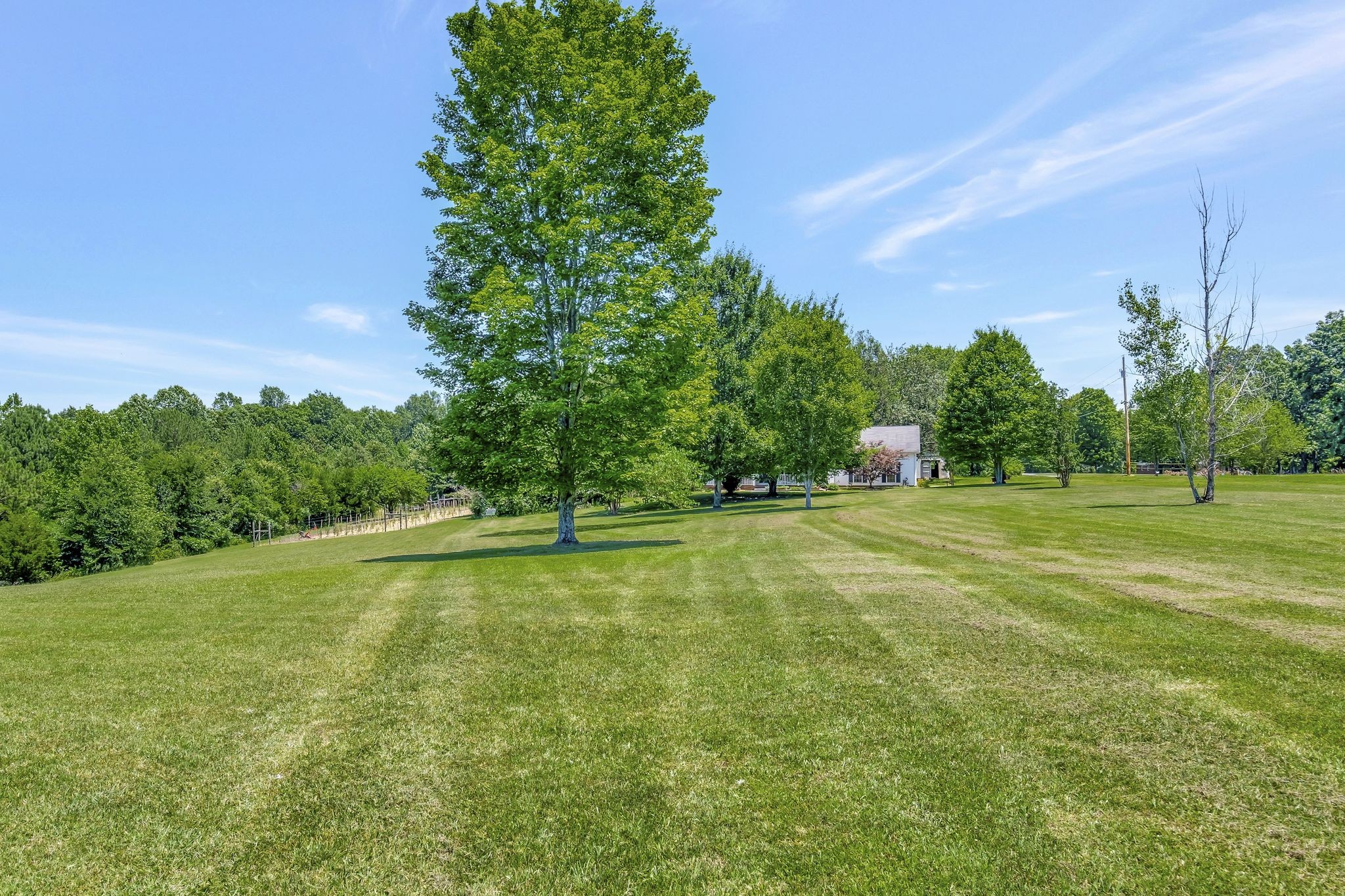 3108 Westcot Road White Bluff, TN 37187 - Photo 32 of 34 Gallery Image 32