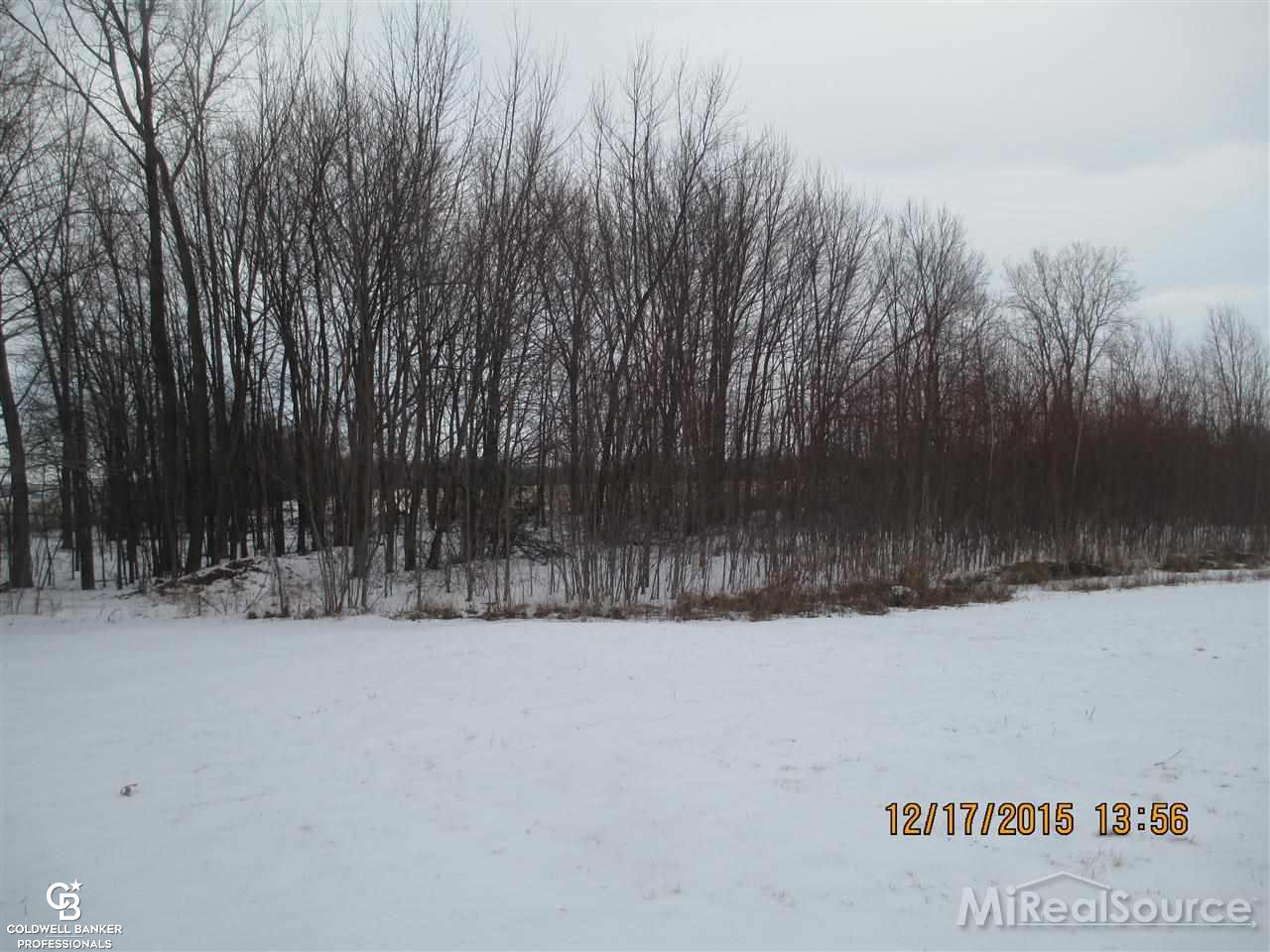 10771 East Burt Road Birch Run, MI 48415 - Photo 8 of 28