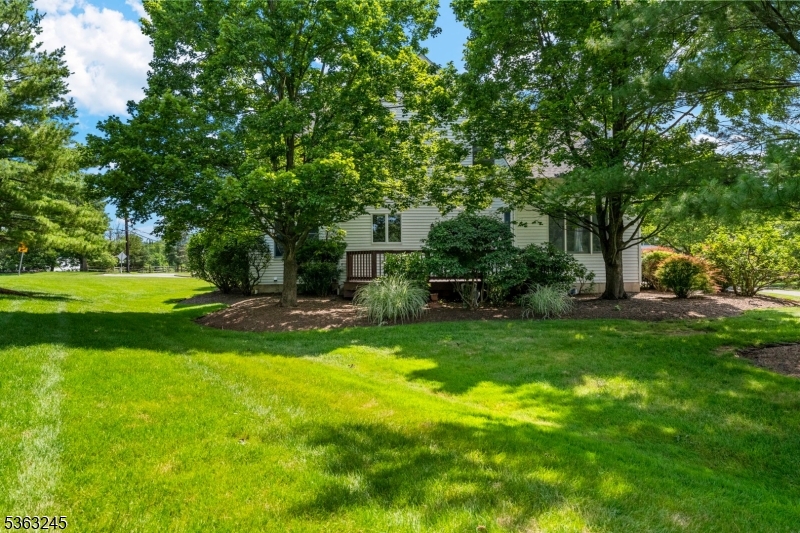2 Seminole Road Skillman, NJ 08558 - Photo 45 of 50 a view of a backyard with large trees