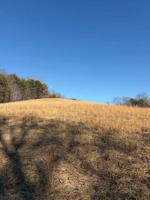 0 Calico Ridge Road Logan, OH 43138 - Photo 10 of 18 IMG_1449