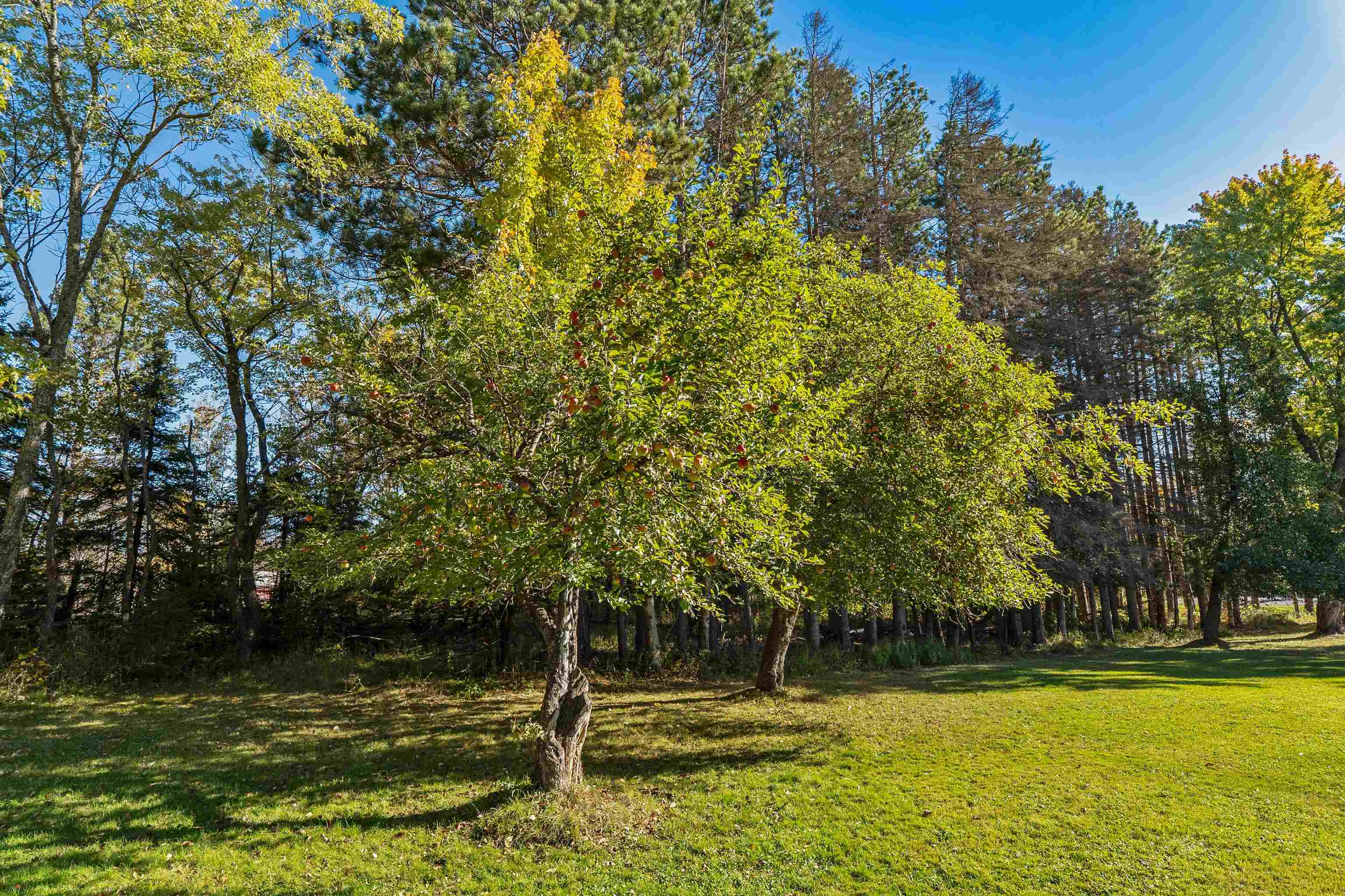 993 Scenic Drive Two Harbors, MN 55616 - Photo 46 of 50