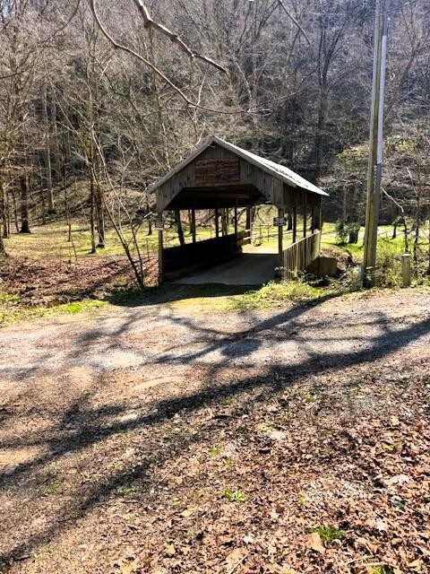 768 Ellis Creek Road Reliance, TN 37369 - Photo 8 of 18
