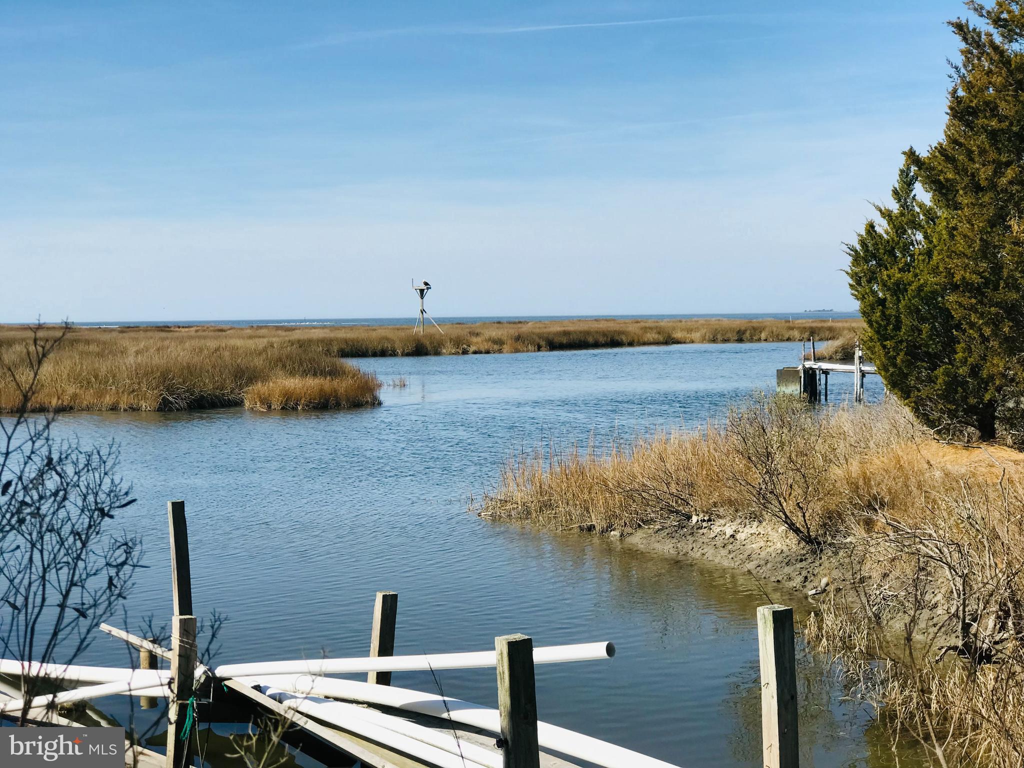 7814 Riverview Road Westover, MD 21871 - Photo 5 of 7 Dock Looking South