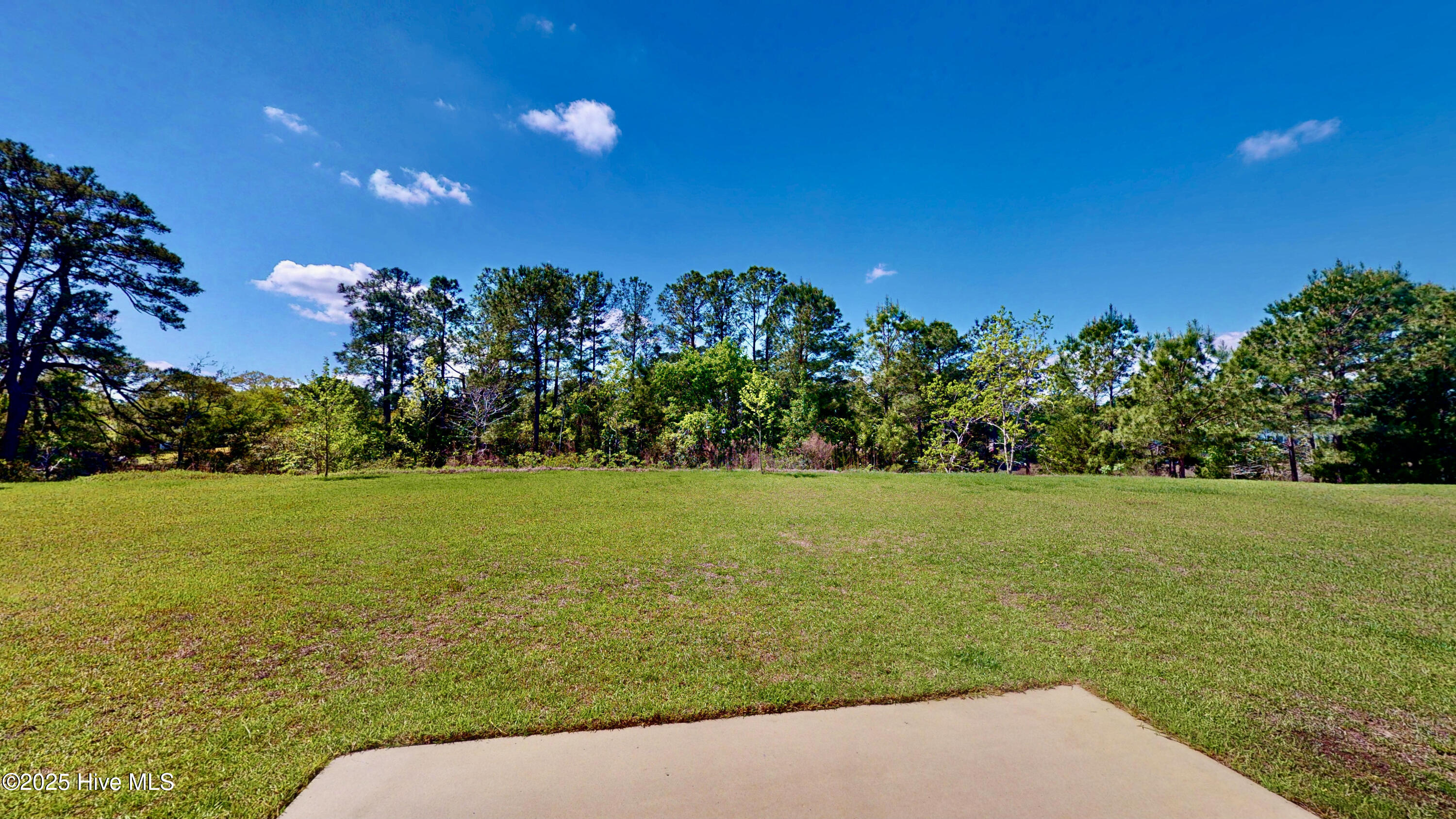 3363 Kellerton Place Wilmington, NC 28409 - Photo 26 of 32 View of the Back Area