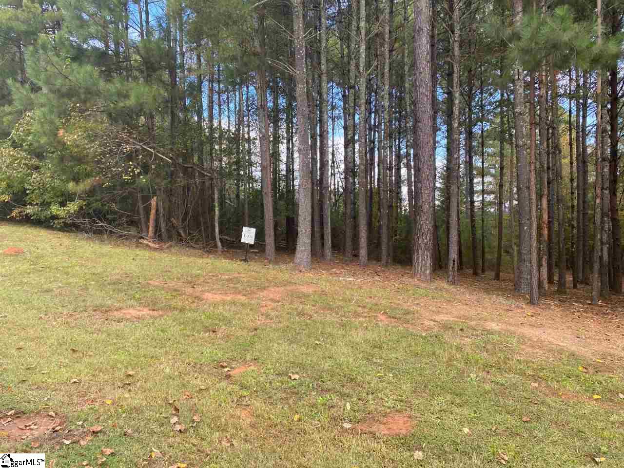 305 Augusta Way Sunset, SC 29685 - Photo 1 of 14