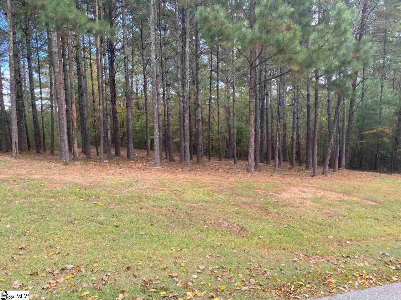 305 Augusta Way Sunset, SC 29685 - Photo 2 of 14