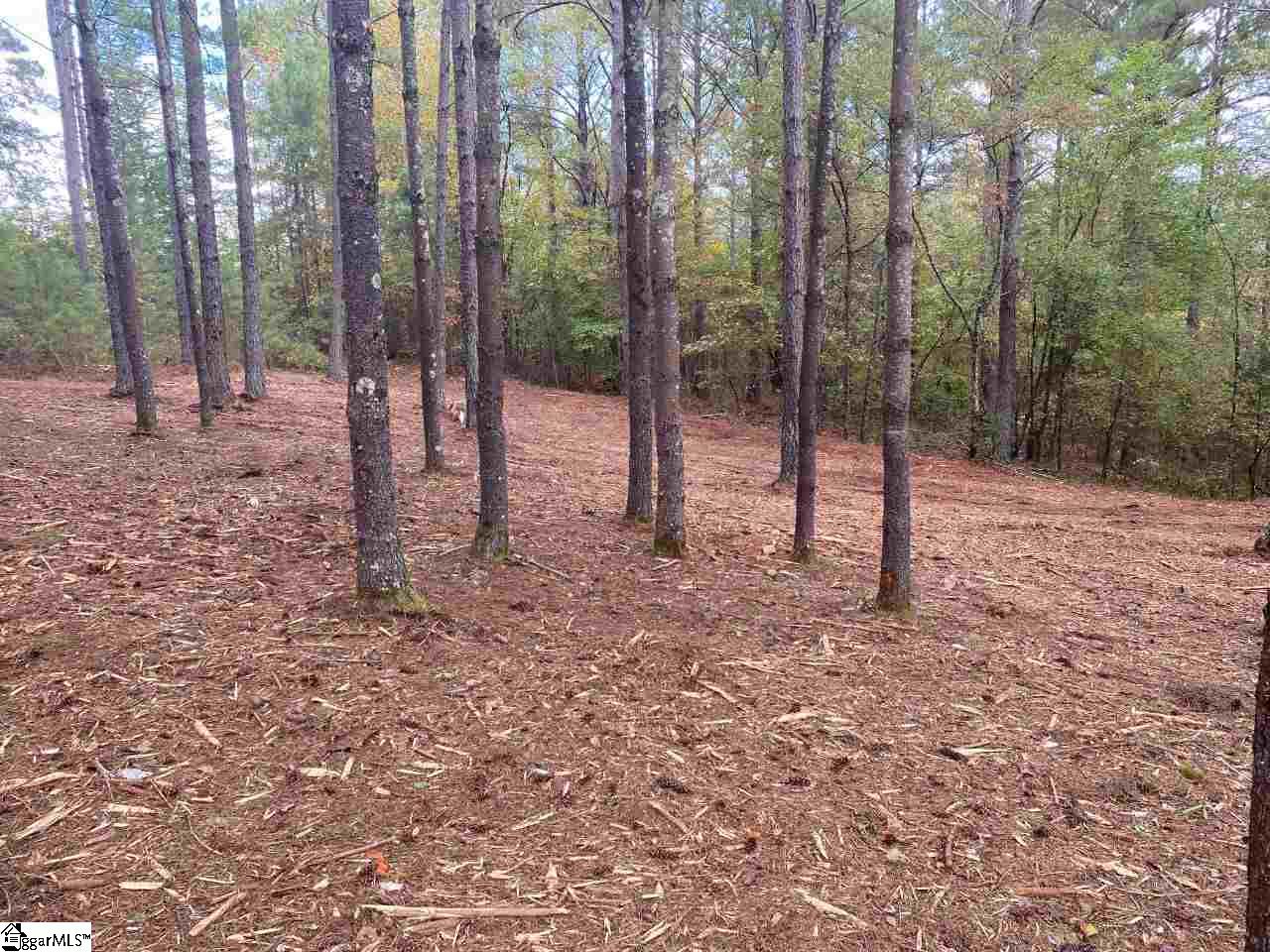 305 Augusta Way Sunset, SC 29685 - Photo 3 of 14