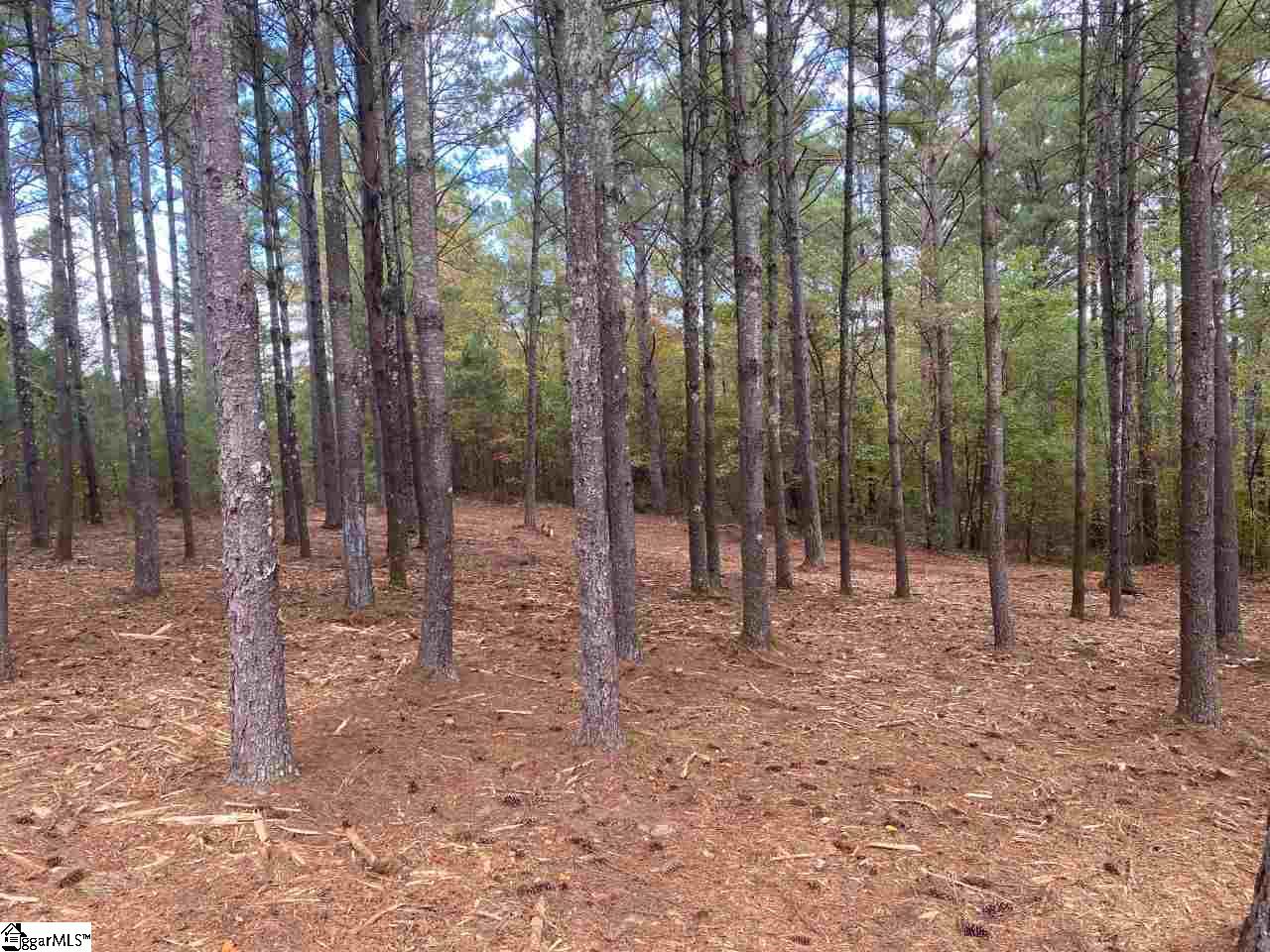 305 Augusta Way Sunset, SC 29685 - Photo 4 of 14