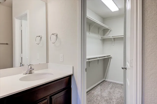 a bathroom with a sink and mirror