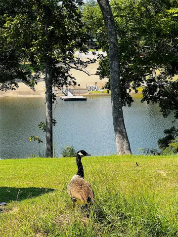 a view of lake with green space