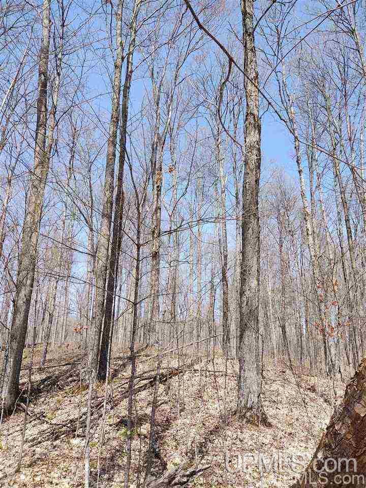 12234 Krolik Road Baraga, MI 49908 - Photo 24 of 36 Gallery Image 24