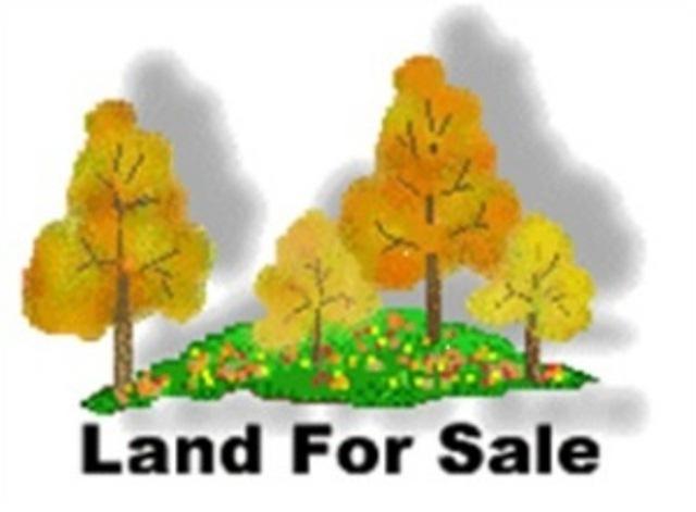 Vacant Land Photo default
