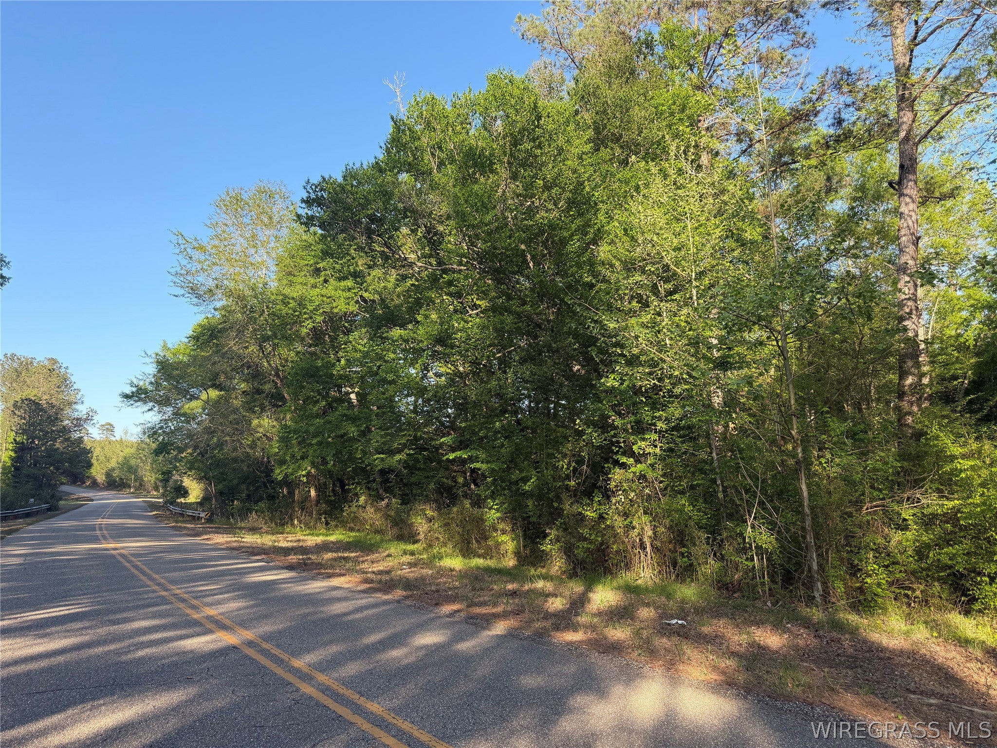 0 Leon Tower Road Dozier, AL 36028 - Photo 10 of 26 Gallery Image 10