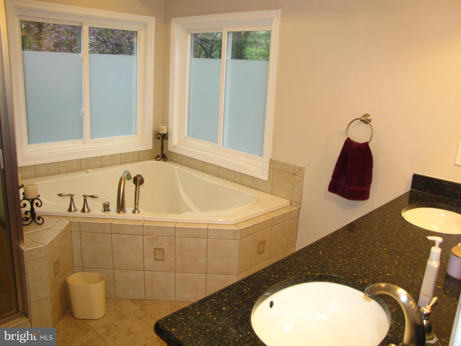 8460 Thames Street Springfield, VA 22151 - Photo 16 of 24 Bath (Master)
