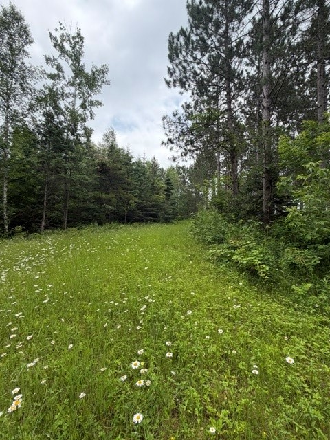 20-acres North 5th Avenue Spooner, WI 54801 - Photo 6 of 12