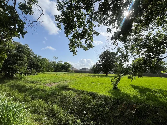 a view of a grassy field with trees