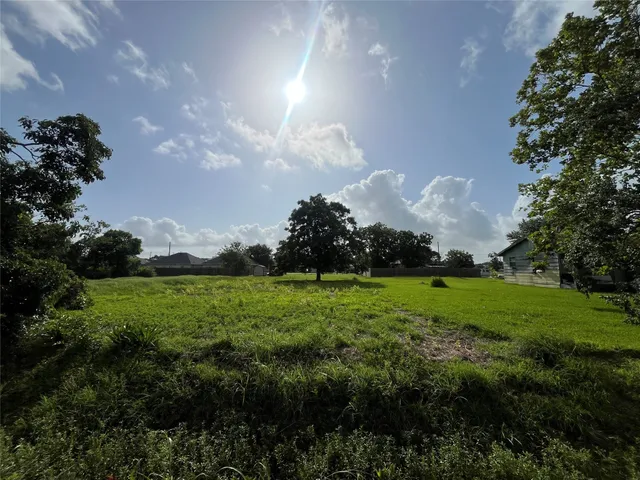 a view of a field of grass and trees