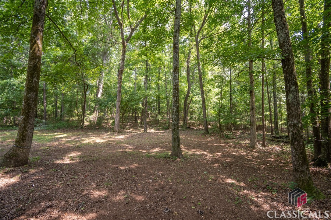3831 Smithonia Road Comer, GA 30629 - Photo 12 of 23
