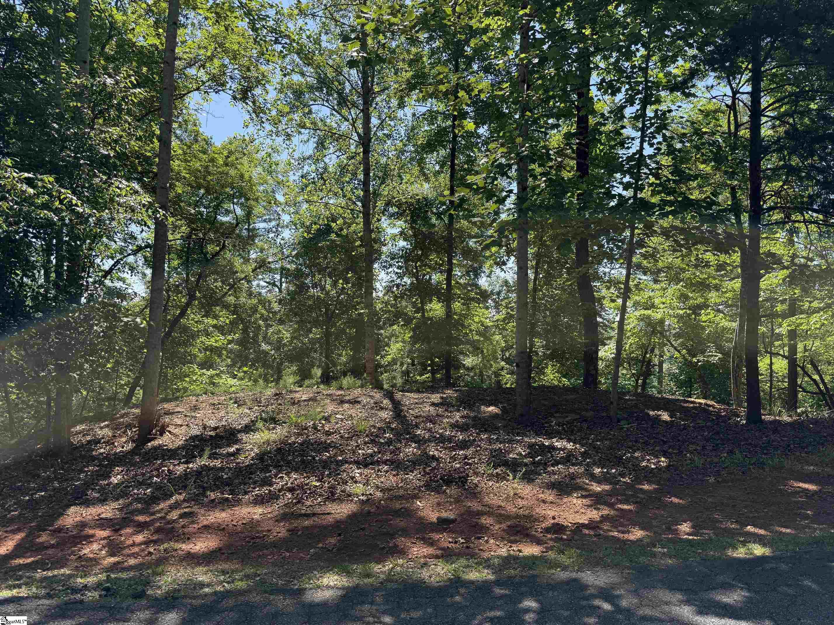 126 Summit Pine Sunset, SC 29685 - Photo 3 of 5