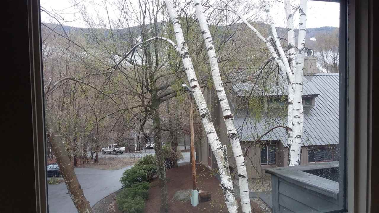 19 Osseo Road, Unit 5 Lincoln, NH 03251 - Photo 3 of 37
