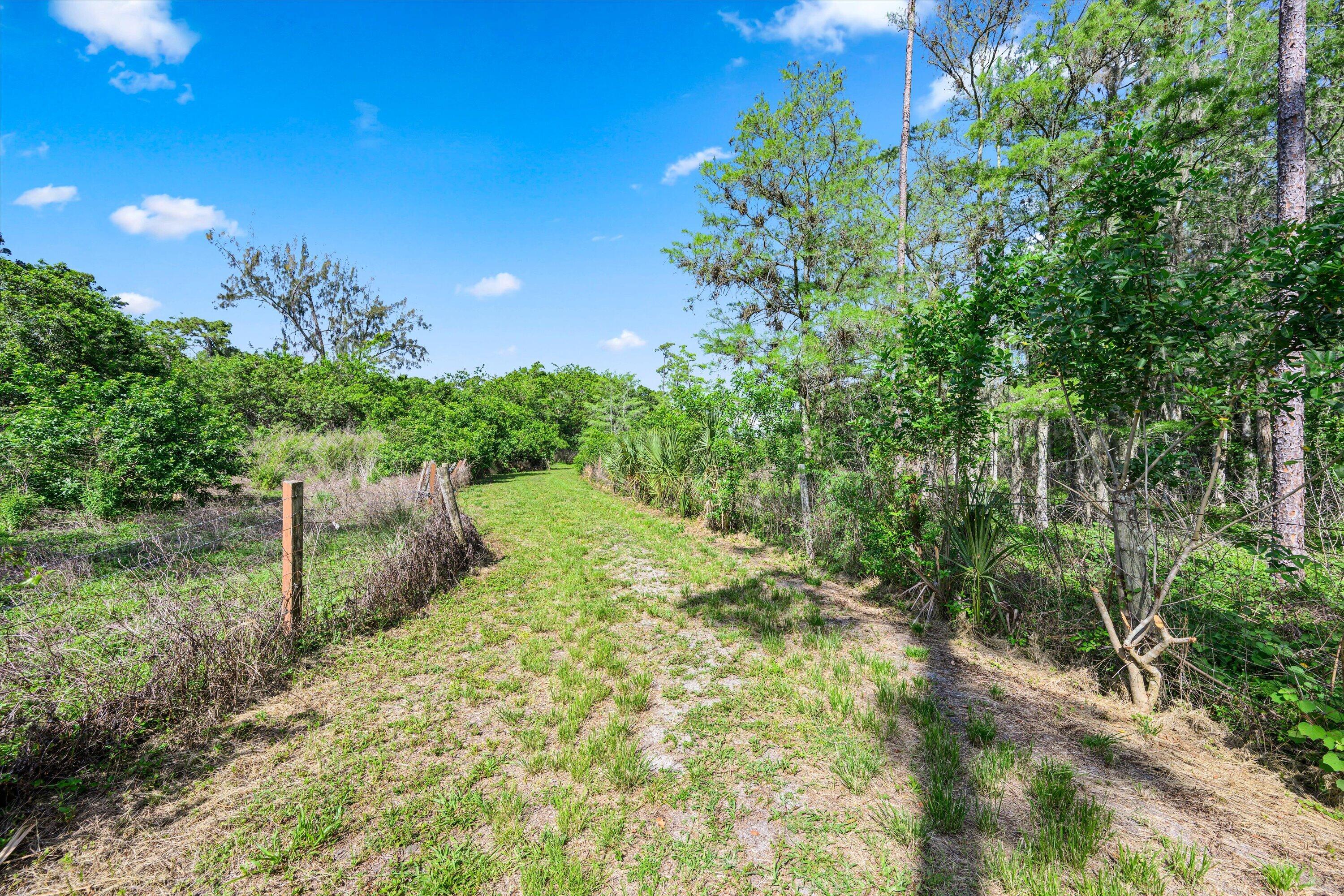 1814 A Road Loxahatchee Groves, FL 33470 - Photo 9 of 38 drive path