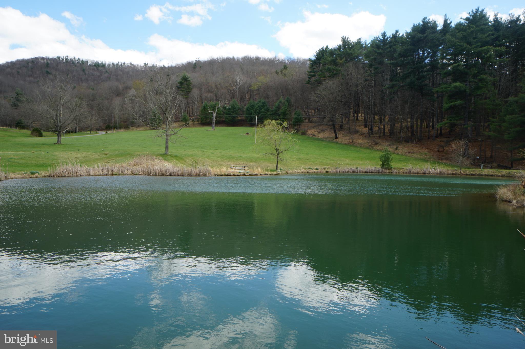 1873 Capito Hill Road Franklin, WV 26807 - Photo 9 of 72