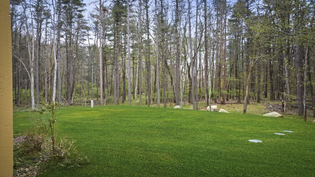 46 Georgetown Road Boxford, MA 01921 - Photo 4 of 40 a view of a park with a large trees