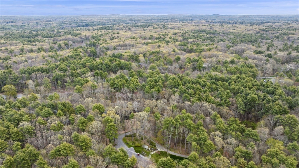 46 Georgetown Road Boxford, MA 01921 - Photo 8 of 40 a view of a field with a lush green forest