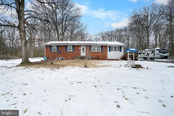 a view of backyard with a large tree