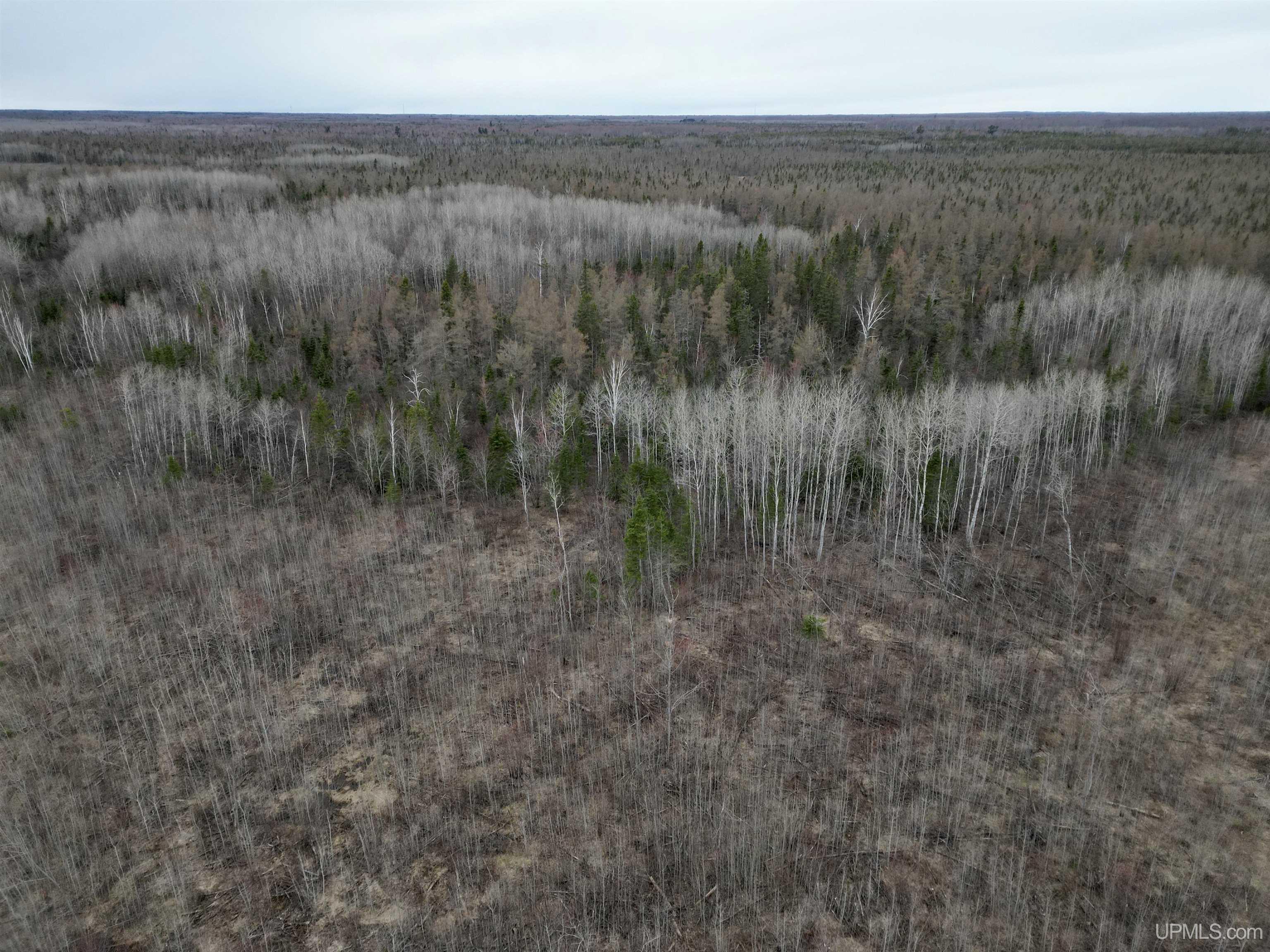 80 North Rd Rock Mi 49880 Road Rock, MI 49880 - Photo 6 of 12