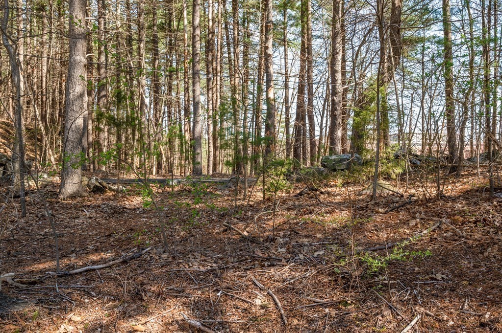 300 Swanson Road, Unit 218 Boxborough, MA 01719 - Photo 23 of 23