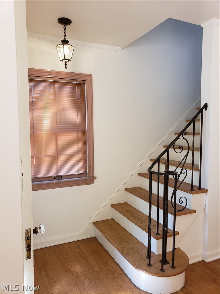 1162 Castleton Road Cleveland Heights, OH 44121 - Photo 3 of 25