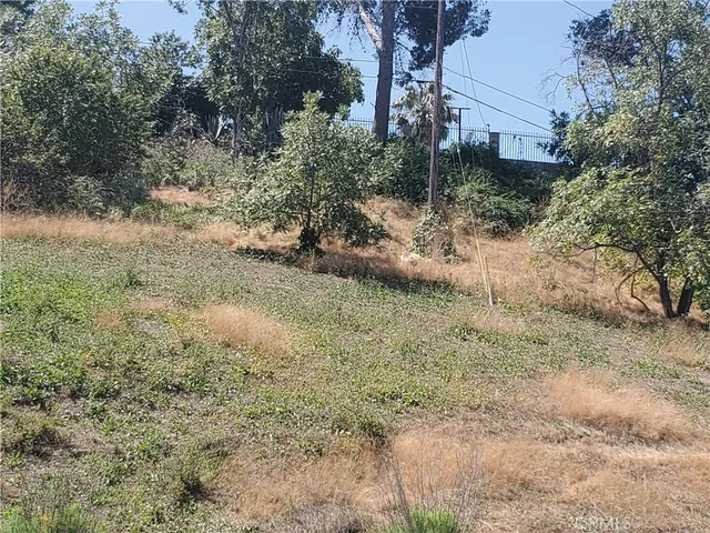 a view of a yard with an trees